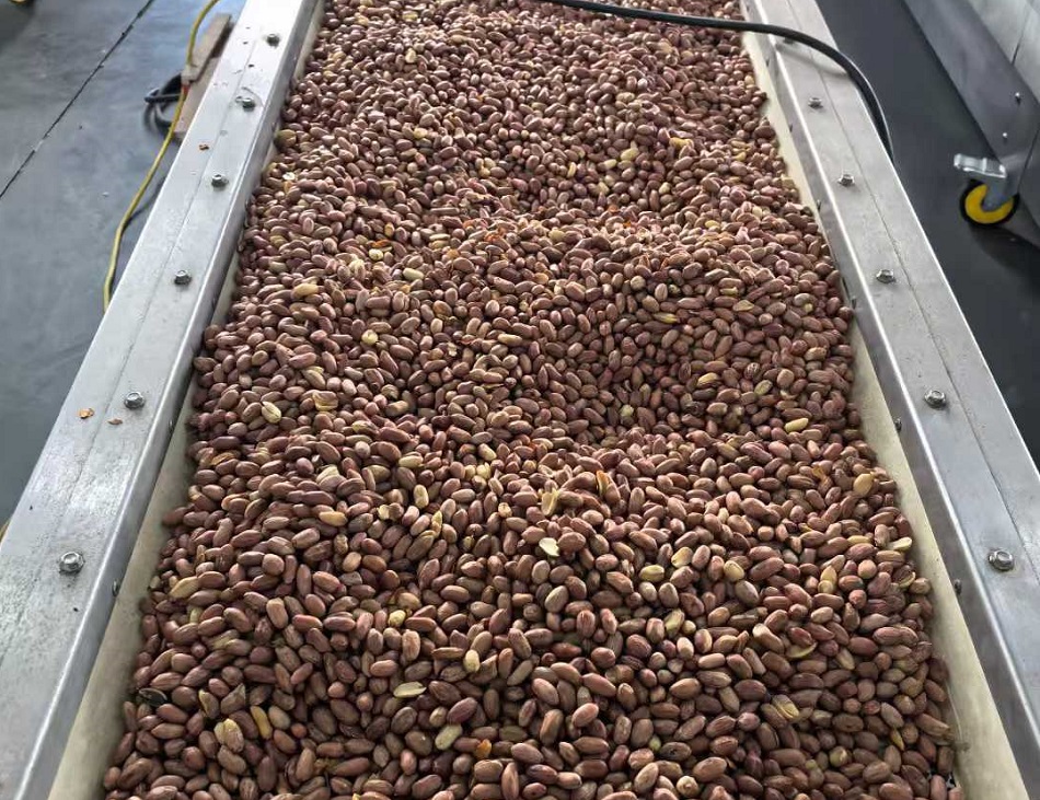 k8凯发流水线电磁炒货机