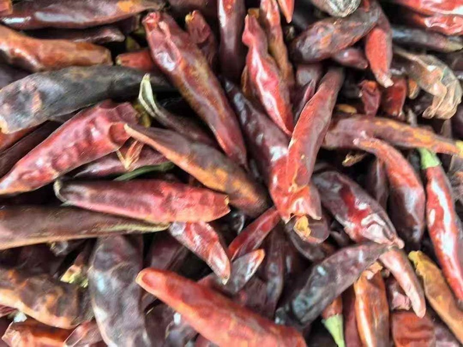 k8凯发电磁炒货设备