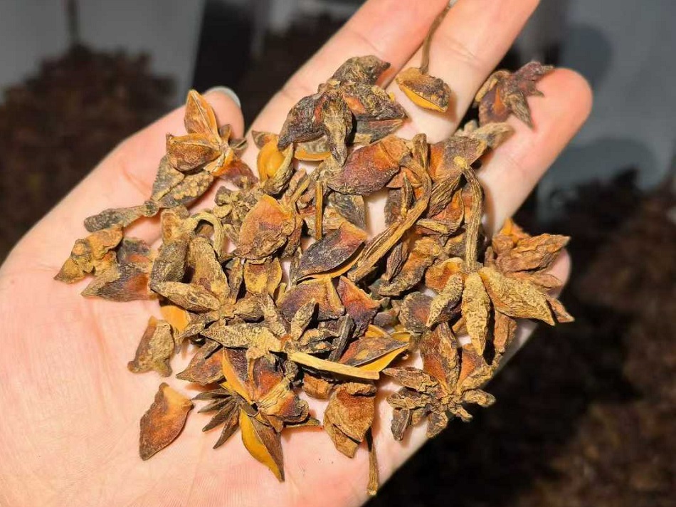 k8凯发电磁炒货机