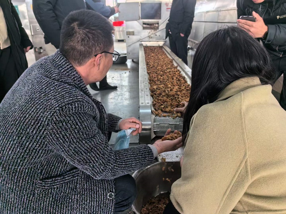 k8凯发流水线炒货机