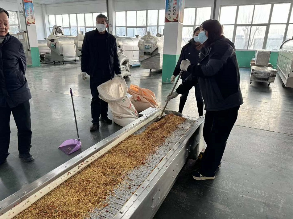 k8凯发流水线电磁炒货机